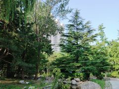 -太阳宫公园