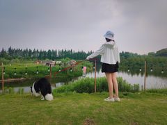 -太阳岛度假酒店