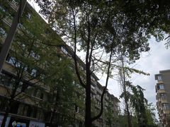 -奎星楼街