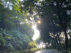 -云溪植物园