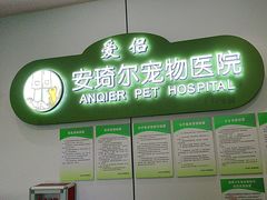 -爱侣·安琦尔宠物医院·中兽医针灸·心内科·狂犬免疫点(宝山区院)
