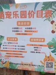 点击看大图 -前小桔亲子创意农场·草莓采摘·露营烧烤