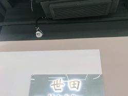 -世田造型