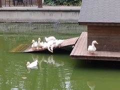 -中央戏剧学院(昌平校区)