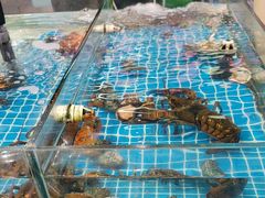 -和源祥·日照菜扛把子(万平口一店)