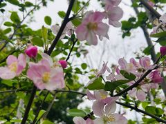 -金银湖国家城市湿地公园