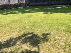 -上海孙中山故居纪念馆