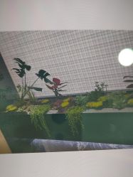 -重庆军科整形美容医院