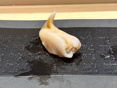 -鲤·鮨KOISUSHI