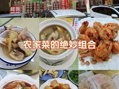 -柳周农家菜特色老店沙田柚美食(东大街店)