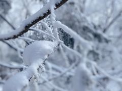 -雪谷