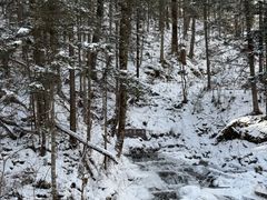 -峡谷浮石林景区