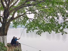 -重庆彩云湖湿地公园