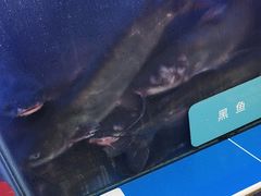 -鱼酷活鱼烤鱼(南京水游城店)