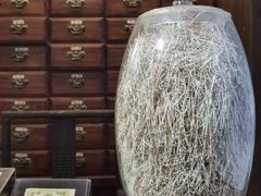 -二沙岛-广东华侨博物馆