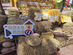 -珠海海泉湾神秘岛亲子乐园