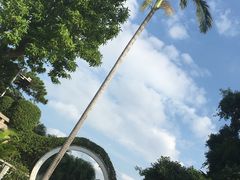 -船政文化景区-罗星塔公园