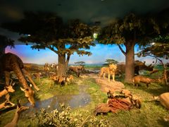 -国家自然博物馆