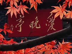 -岳麓山风景名胜区