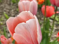 -上海植物园-4号门售票处