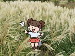 -厦门园林博览苑