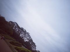 -东莞植物园