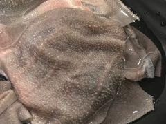 -苏州金科大酒店