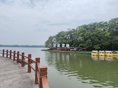 -上海海湾国家森林公园