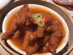 -南枝记