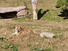 -沈阳森林动物园