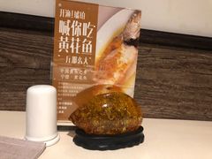 -琥珀·原创臻选店(维家思店)