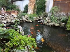-鲤院·新中式美学·庭院餐厅(夫子庙店)