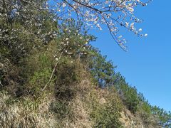 -千岛湖天屿景区