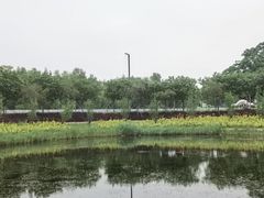 -滨海公园