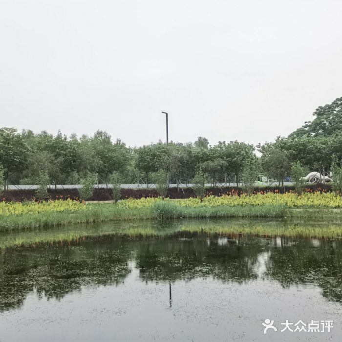 滨海公园图片