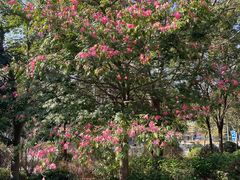 -厦门市图书馆(集美新城馆区)