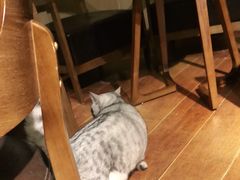 -H立方实景剧情密室(天河旗舰店)