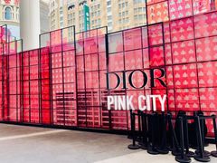 -Dior迪奥(上海世茂广场店)