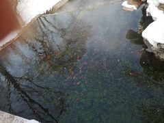 -水磨沟公园