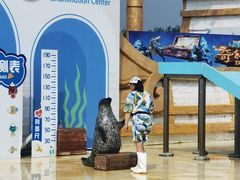 -秦皇岛乐岛海洋王国