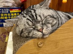 -老蜀人川菜馆(中关村店)