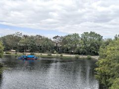 -上海海湾国家森林公园