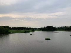 -银涛高尔夫练习场(徐泾店)