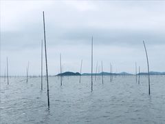 -北岐滩涂