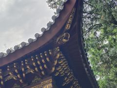 -汇龙潭