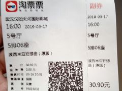 -汉阳天河电影城(王家湾店)