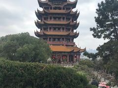 -黄鹤楼公园(黄鹤楼)