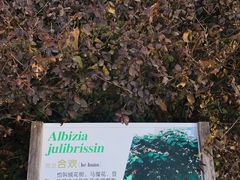 -北京市海淀外国语实验学校