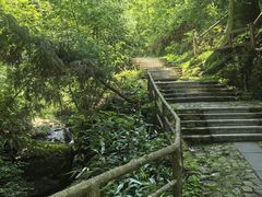 -东天目山风景区