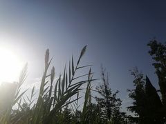 -郑东新区湿地公园